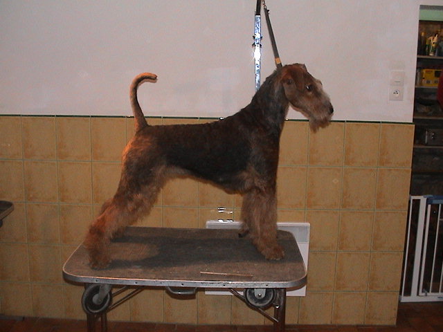 CH. Bittersweet synphony of Utley