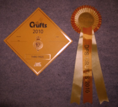 of Utley - Multi CH BEAUTIFUL SOUTH OF UTLEY Resultats à CRUFTS