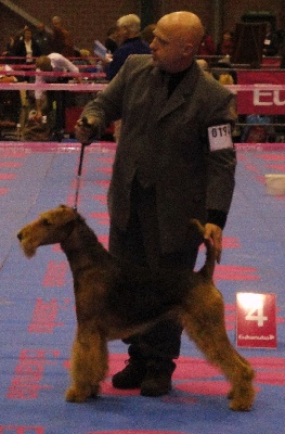 of Utley - Débuts de DUCKY DOG OFUTLEY
